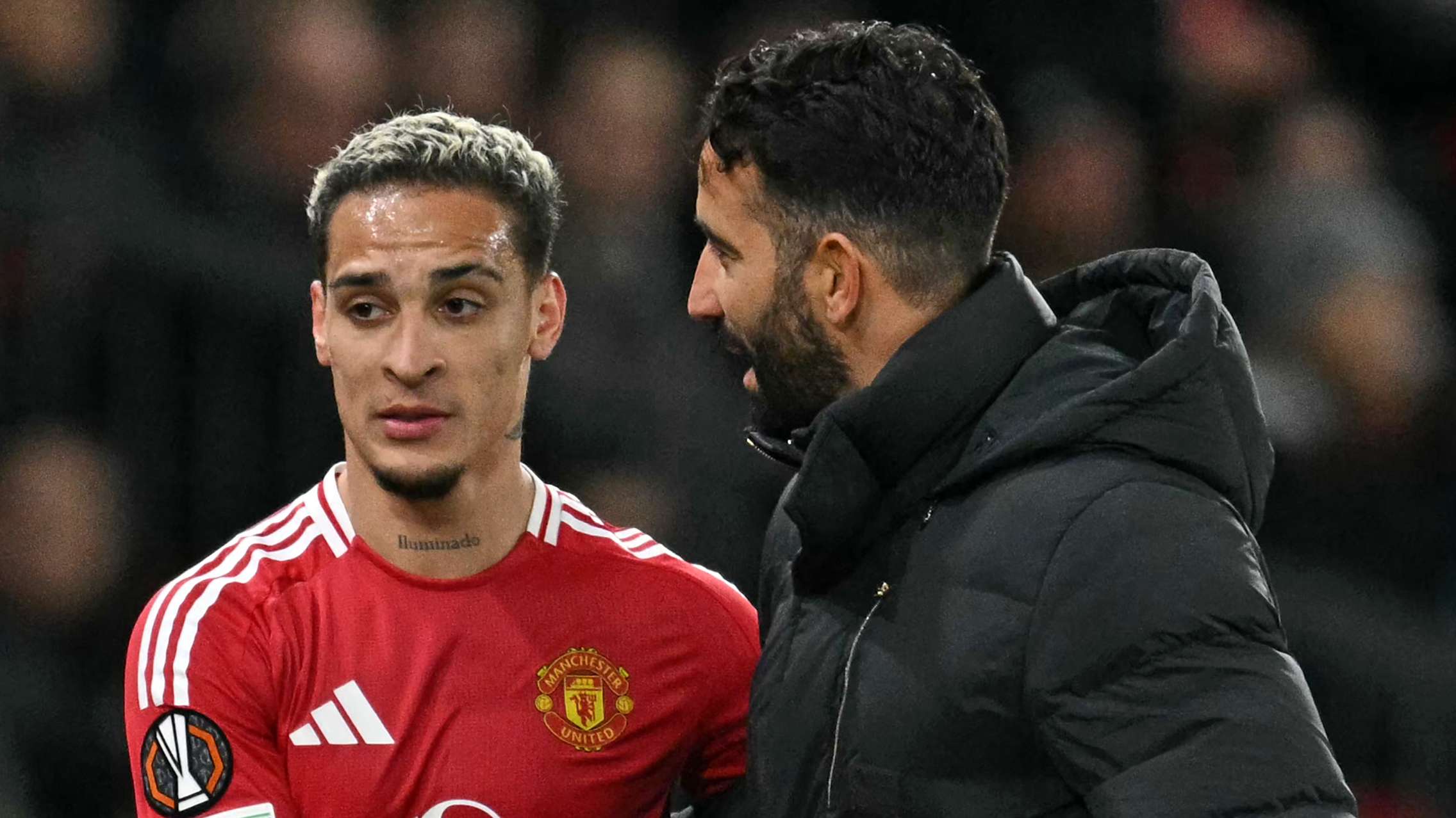 無疑是本屆 無疑是本屆