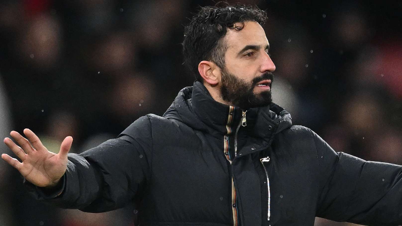 球队和球迷 球队和球迷