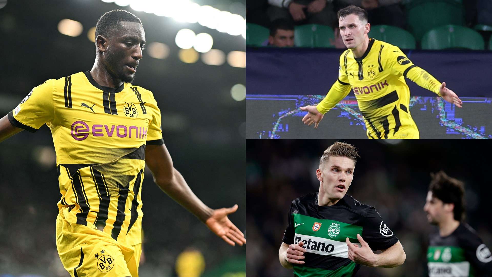 迷和球队的 迷和球队的